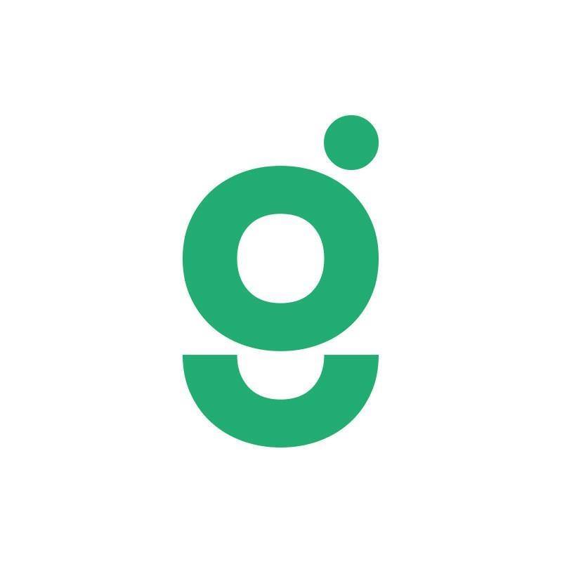 guide vision logo